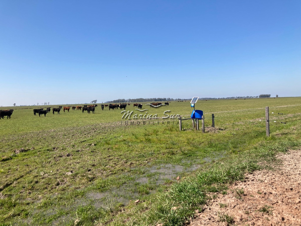 Campo Ref.84 - Campo en Venta 304 en Treinta y Tres