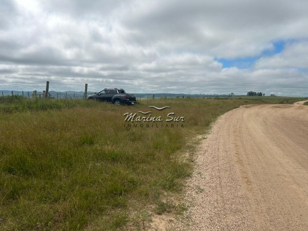Campo Ref.83 - Campo en Venta 75ha Treinta y Tres