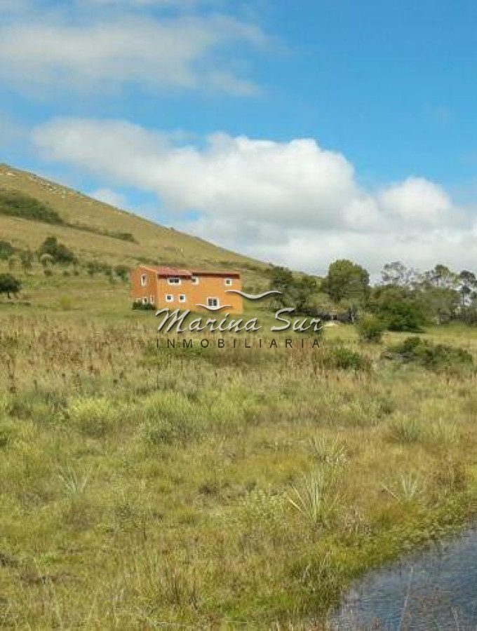 Campo Ref.313 - Espectacular campo en venta, 104 hás, ideal inversión ganadera o para fraccionar en chacras o lotes. 