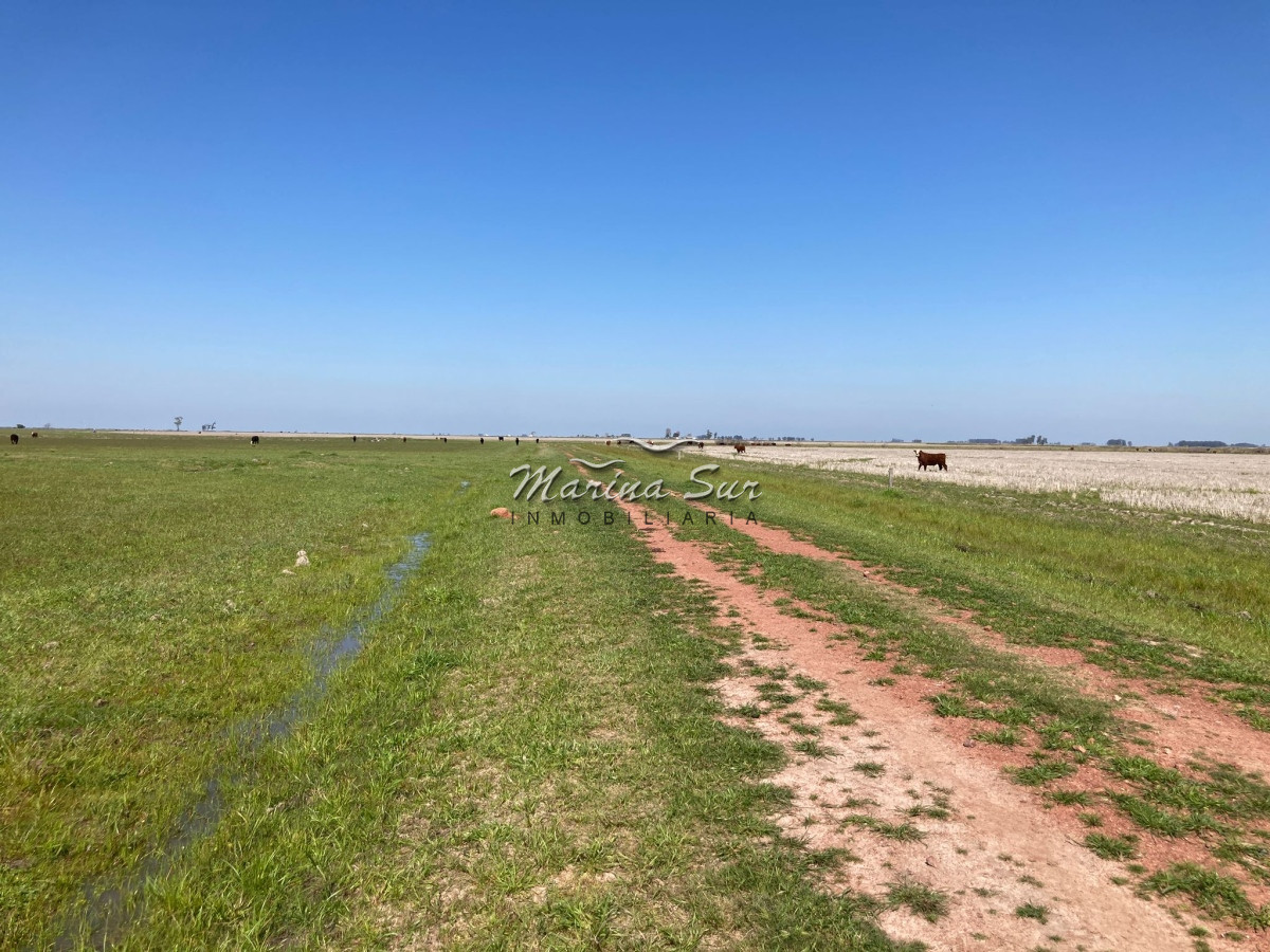 Campo Ref.84 - Campo en Venta 304 en Treinta y Tres
