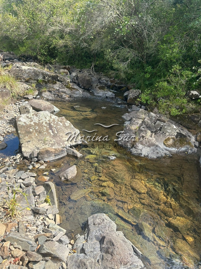 Campo Ref.81 - Campo En Venta 220ha Treinta y Tres