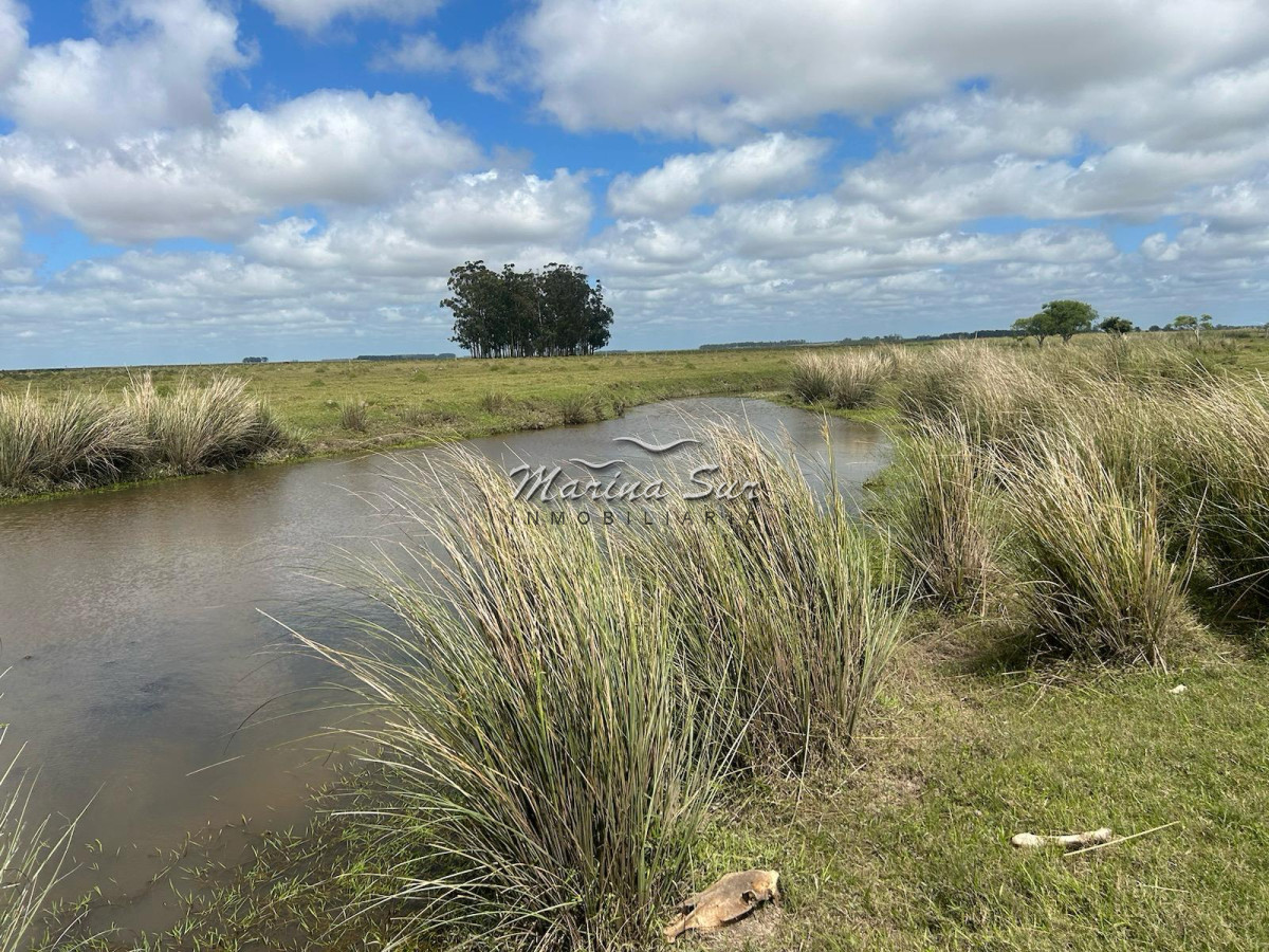 Campo Ref.82 - En Venta 77ha en Treinta Y Tres