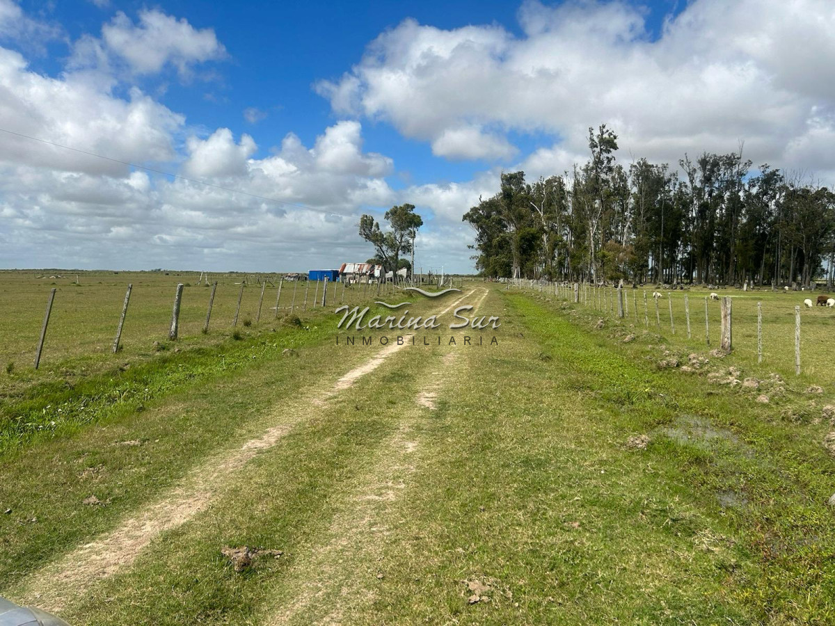 Campo Ref.82 - En Venta 77ha en Treinta Y Tres