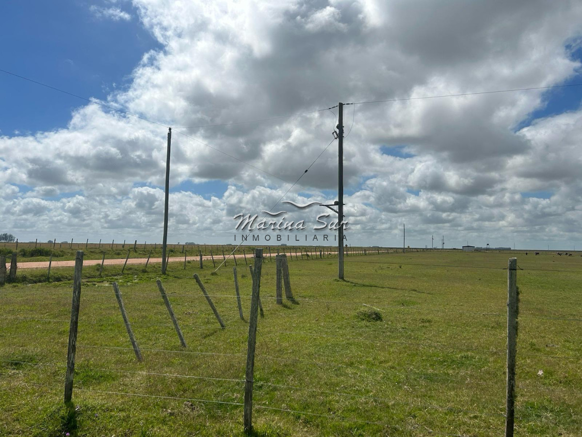 Campo Ref.82 - En Venta 77ha en Treinta Y Tres