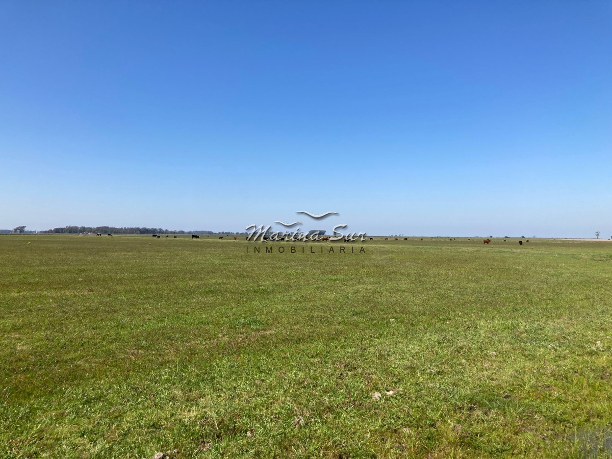 Campo Ref.84 - Campo en Venta 304 en Treinta y Tres
