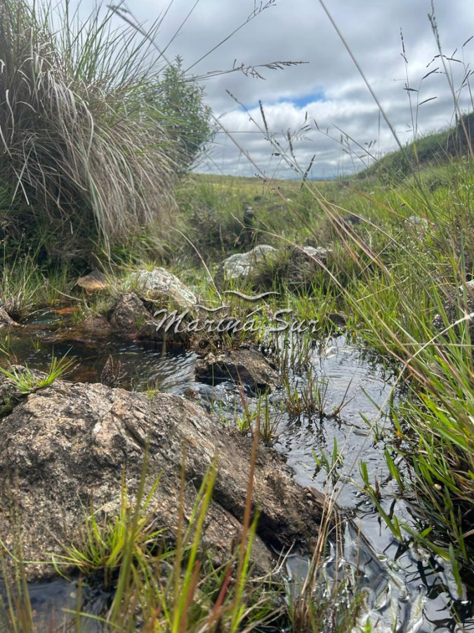 Campo Ref.83 - Campo en Venta 75ha Treinta y Tres