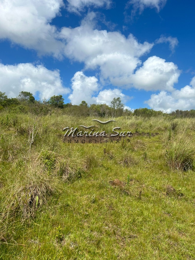 Campo Ref.81 - Campo En Venta 220ha Treinta y Tres