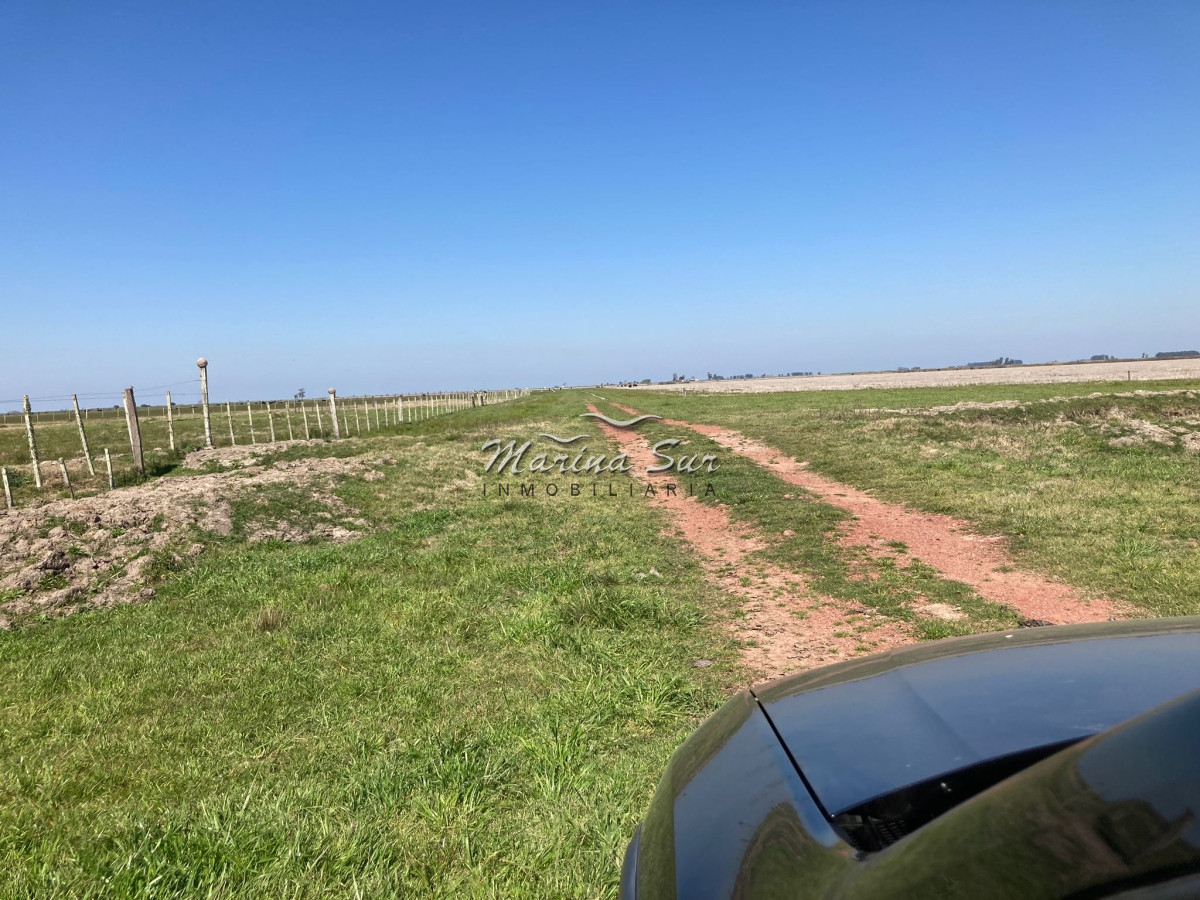 Campo Ref.84 - Campo en Venta 304 en Treinta y Tres