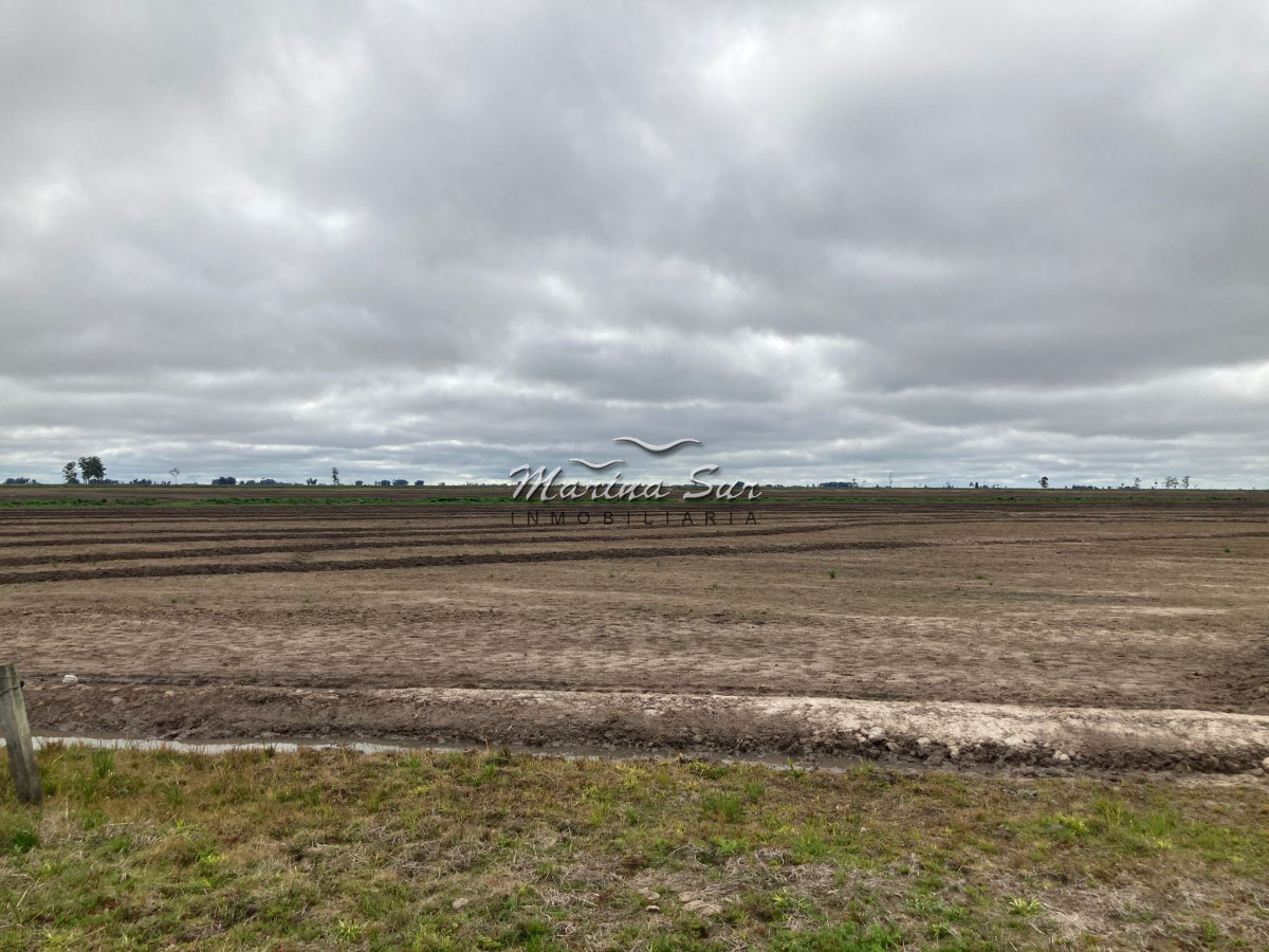 Campo Ref.84 - Campo en Venta 304 en Treinta y Tres