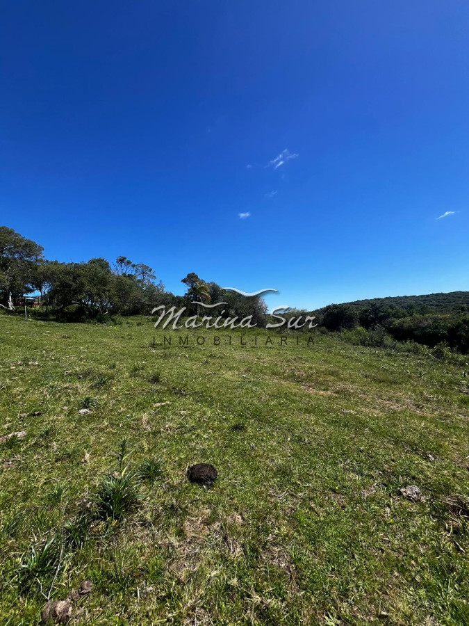 Campo Ref.313 - Espectacular campo en venta, 104 hás, ideal inversión ganadera o para fraccionar en chacras o lotes. 