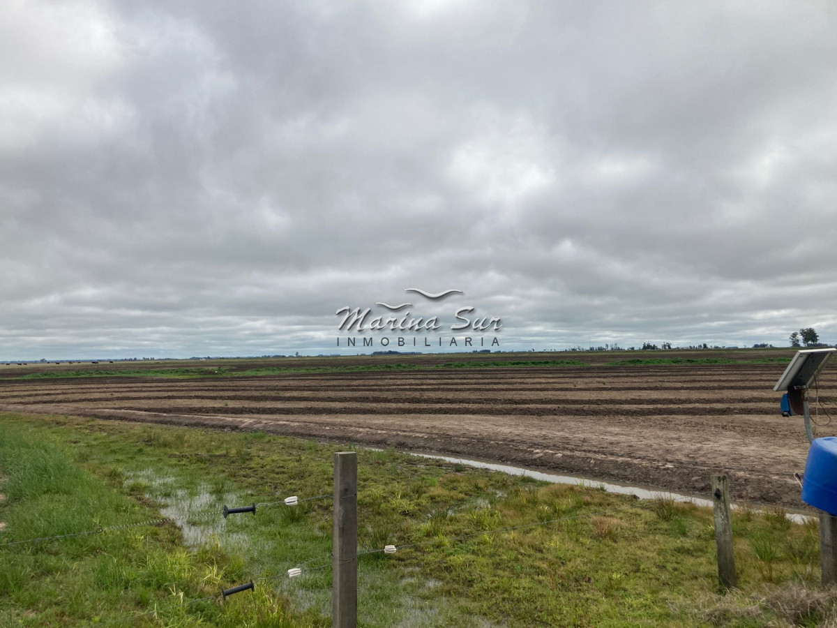 Campo Ref.84 - Campo en Venta 304 en Treinta y Tres