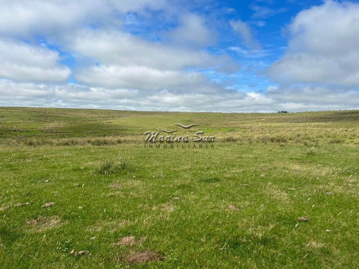 Campo Ref.83 - Campo en Venta 75ha Treinta y Tres