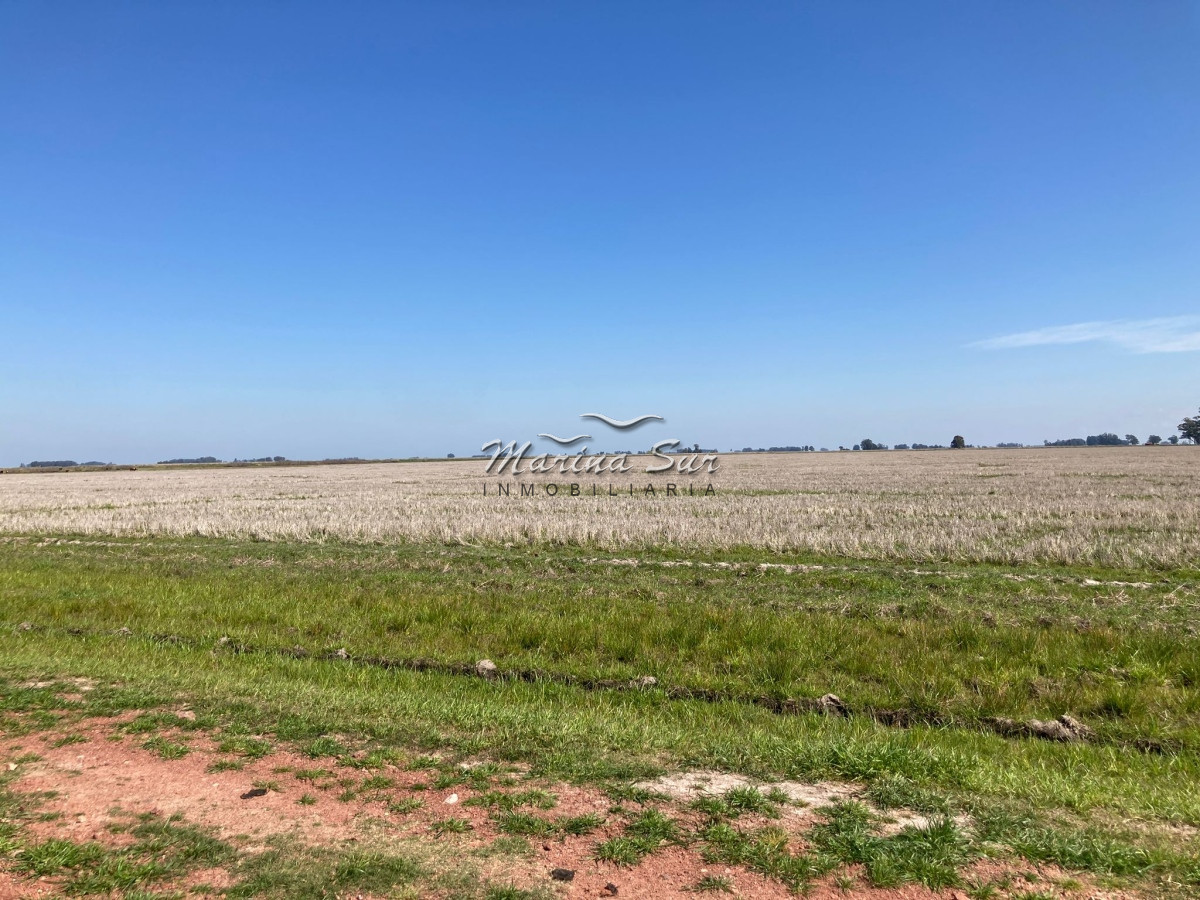 Campo Ref.84 - Campo en Venta 304 en Treinta y Tres