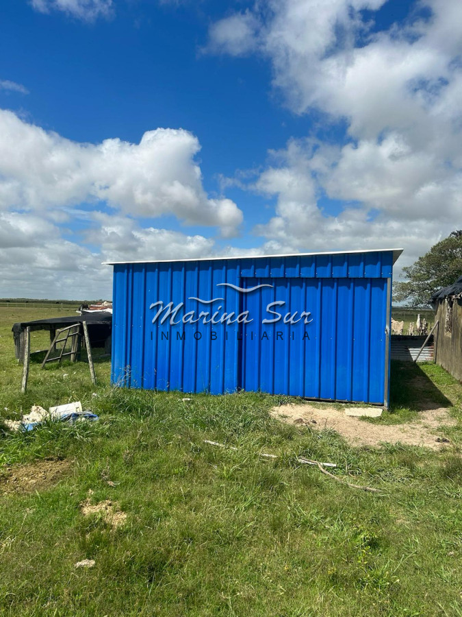 Campo Ref.82 - En Venta 77ha en Treinta Y Tres
