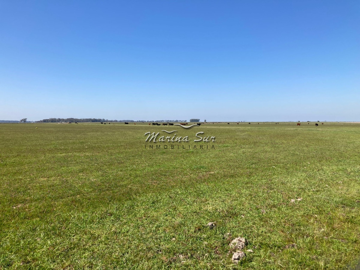 Campo Ref.84 - Campo en Venta 304 en Treinta y Tres