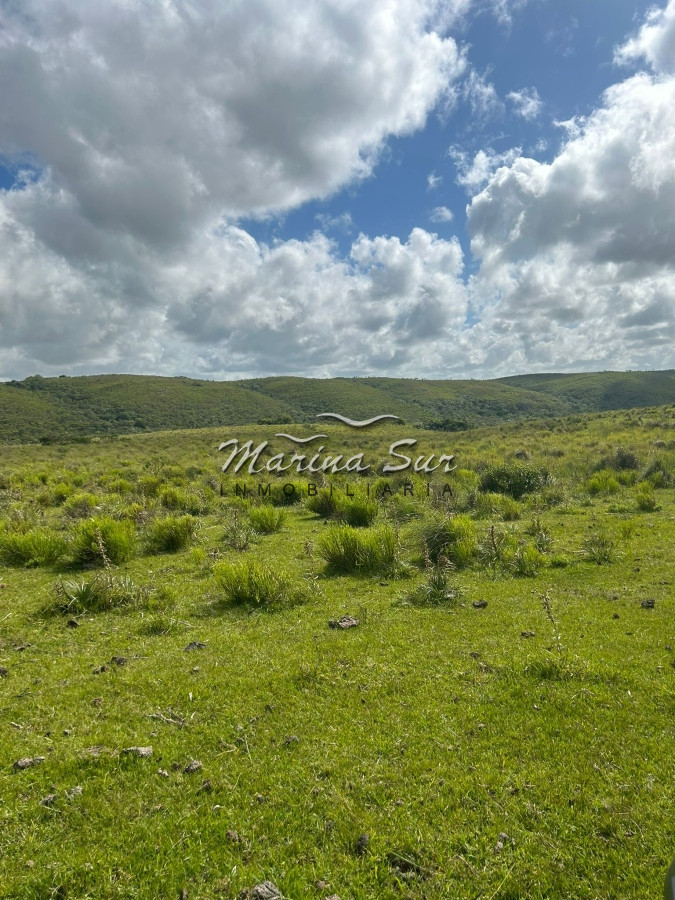 Campo Ref.81 - Campo En Venta 220ha Treinta y Tres