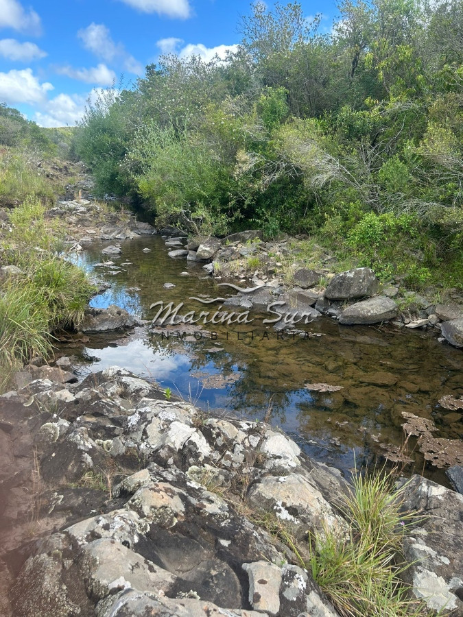 Campo Ref.81 - Campo En Venta 220ha Treinta y Tres