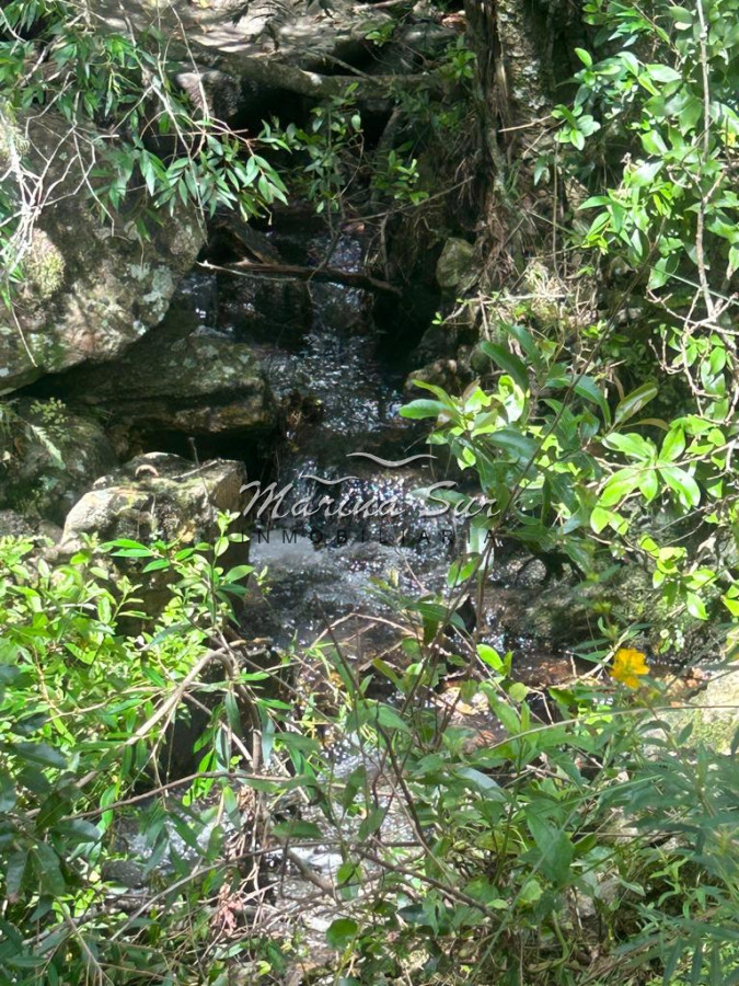 Campo Ref.83 - Campo en Venta 75ha Treinta y Tres