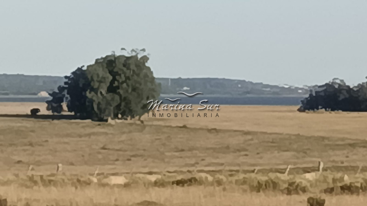 Campo Ref.296 - En venta 90 hectáreas costa Laguna Jose Ignacio