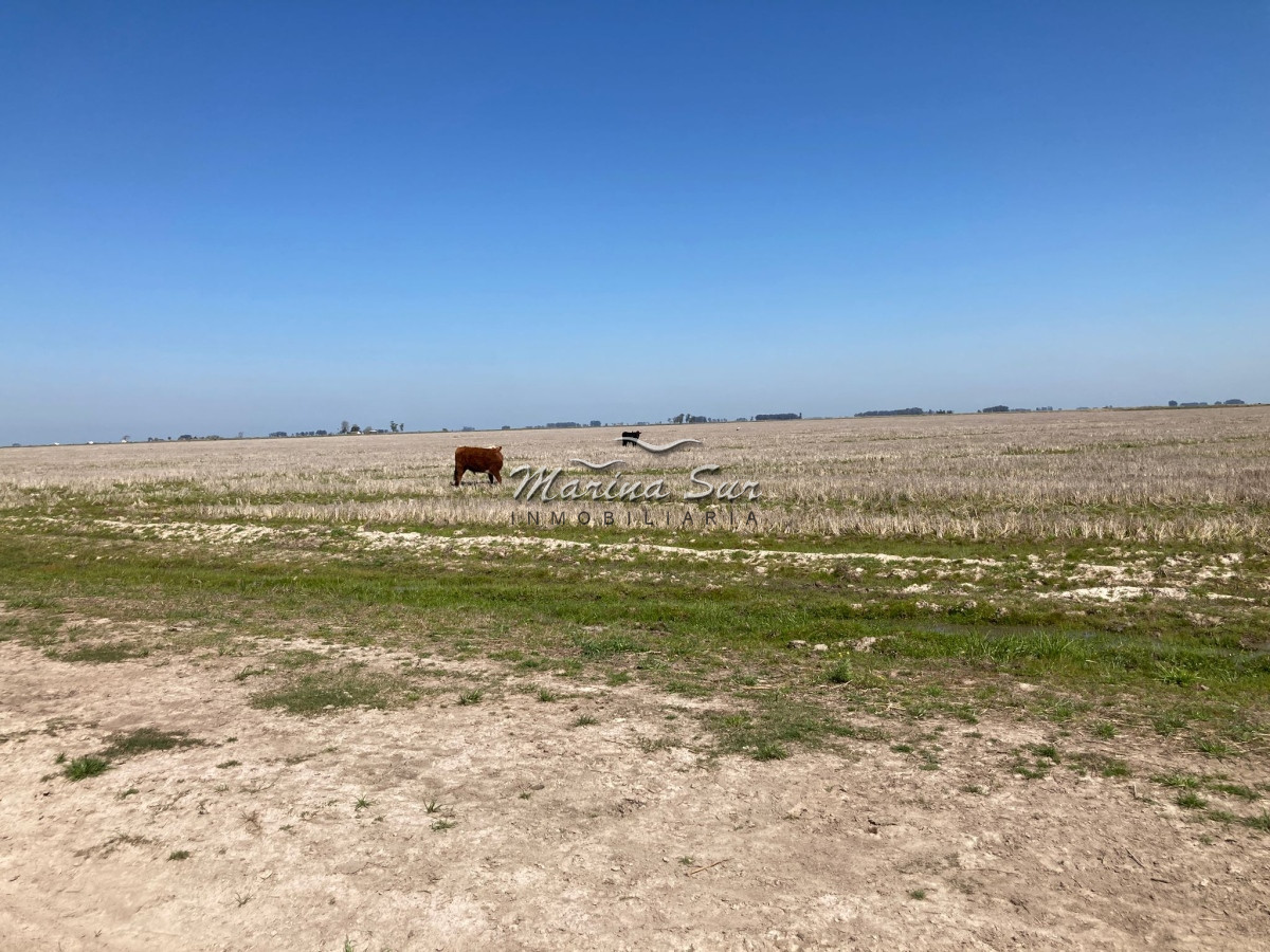 Campo Ref.84 - Campo en Venta 304 en Treinta y Tres