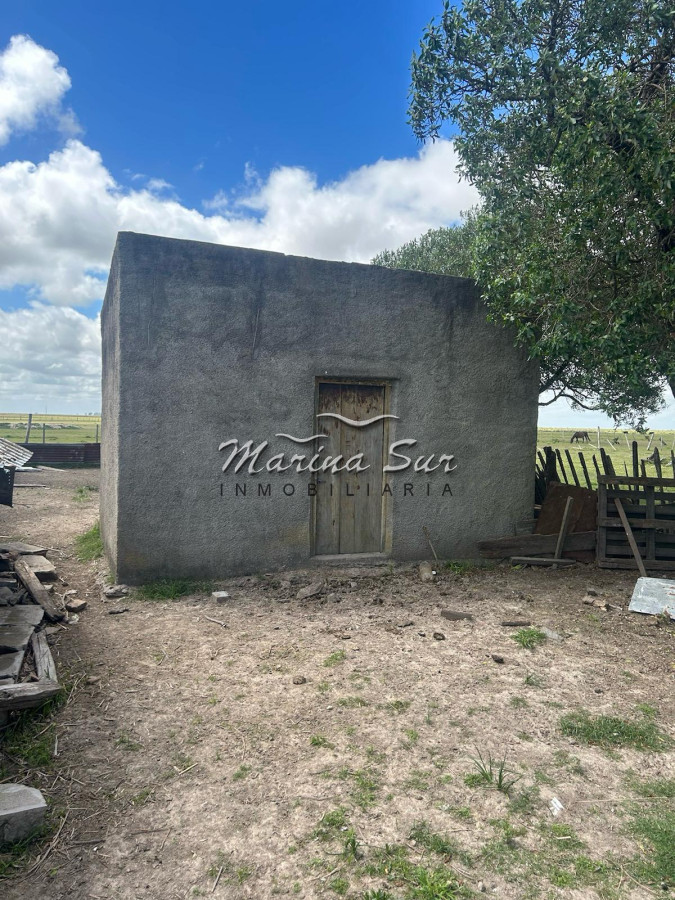 Campo Ref.82 - En Venta 77ha en Treinta Y Tres