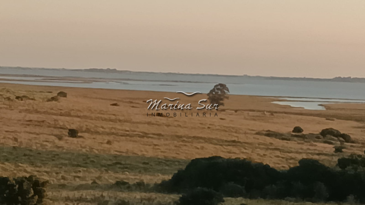 Campo Ref.296 - En venta 90 hectáreas costa Laguna Jose Ignacio