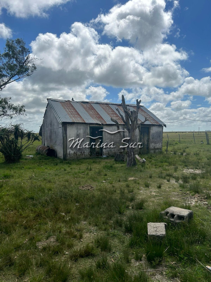 Campo Ref.82 - En Venta 77ha en Treinta Y Tres