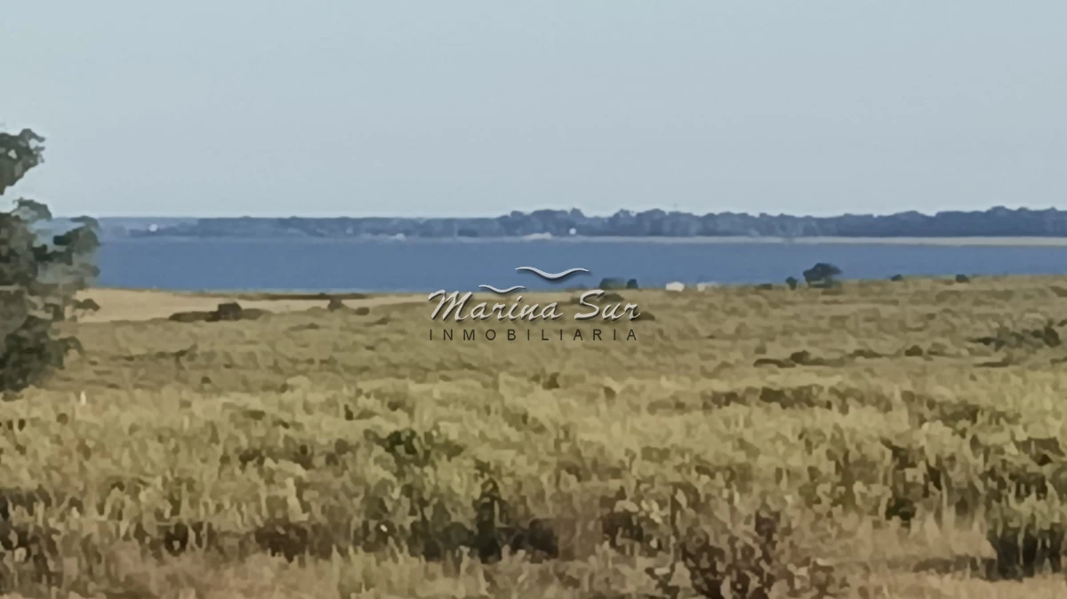 Campo Ref.296 - En venta 90 hectáreas costa Laguna Jose Ignacio