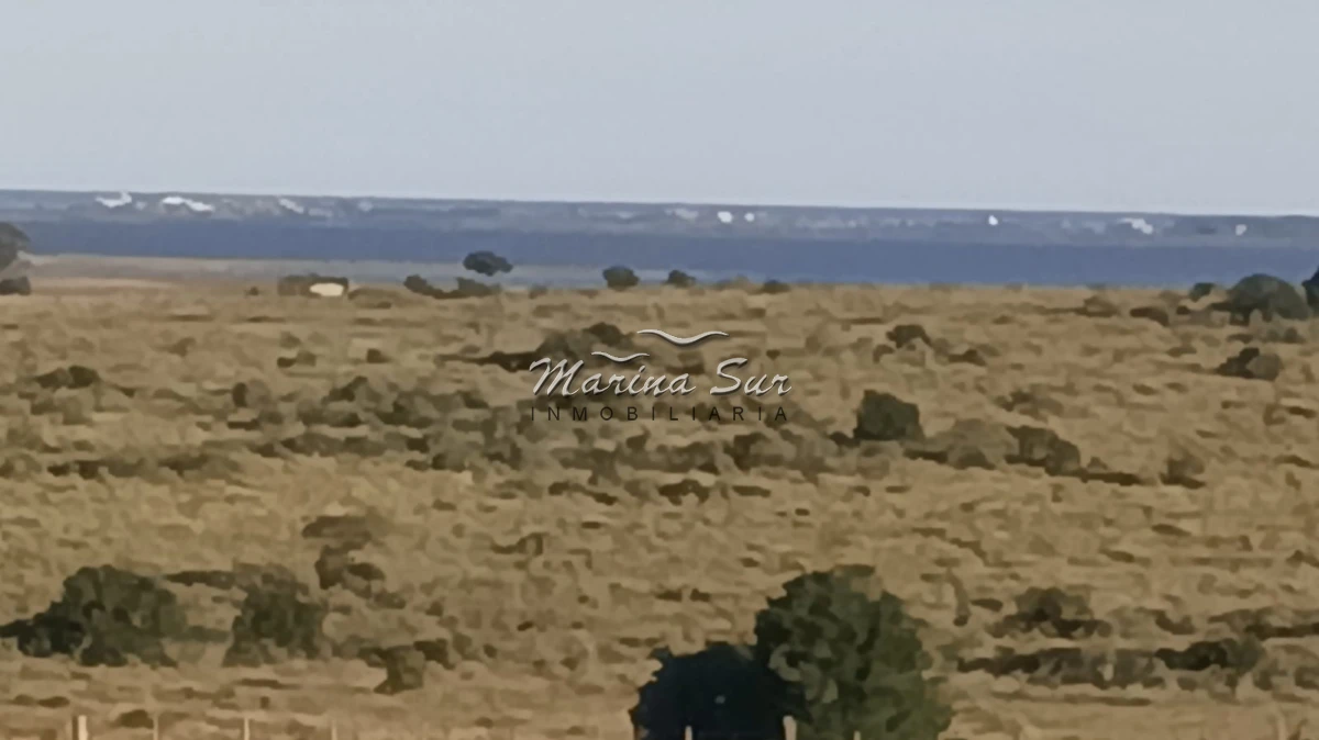 Campo Ref.296 - En venta 90 hectáreas costa Laguna Jose Ignacio