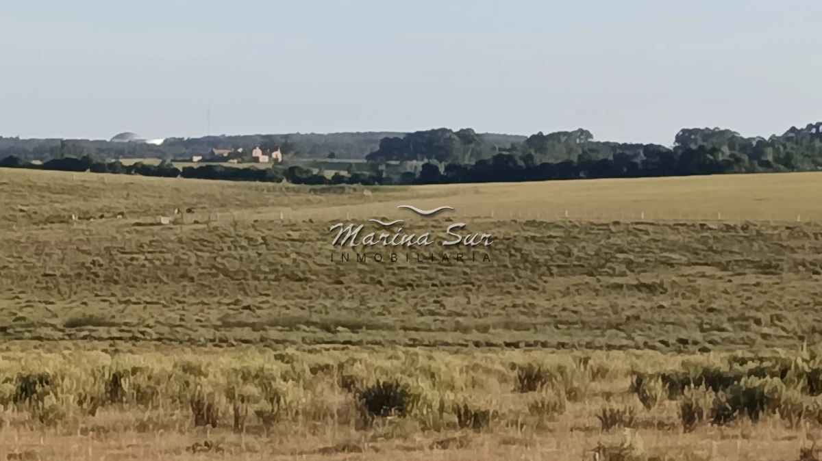Campo Ref.296 - En venta 90 hectáreas costa Laguna Jose Ignacio