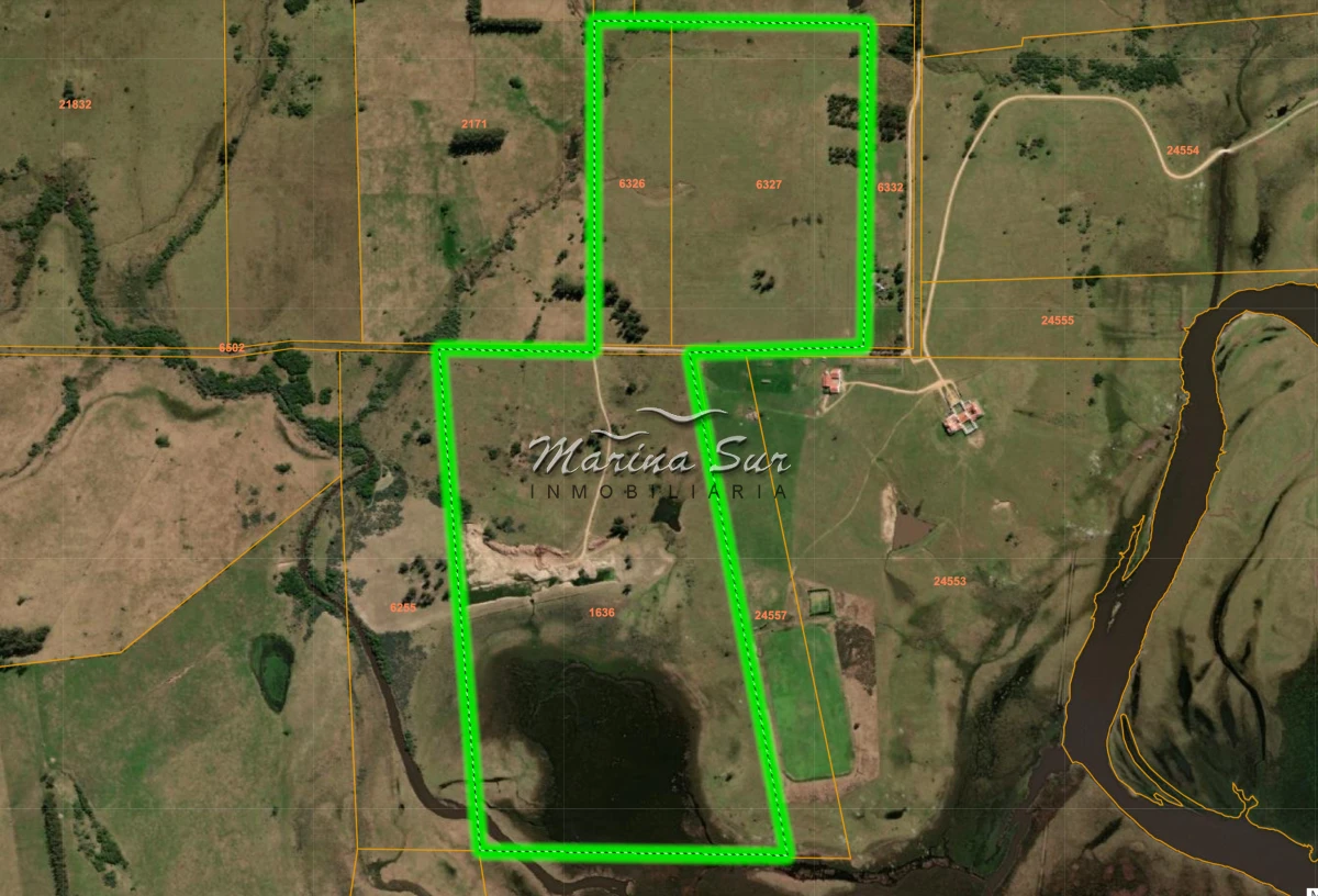 Campo Ref.296 - En venta 90 hectáreas costa Laguna Jose Ignacio