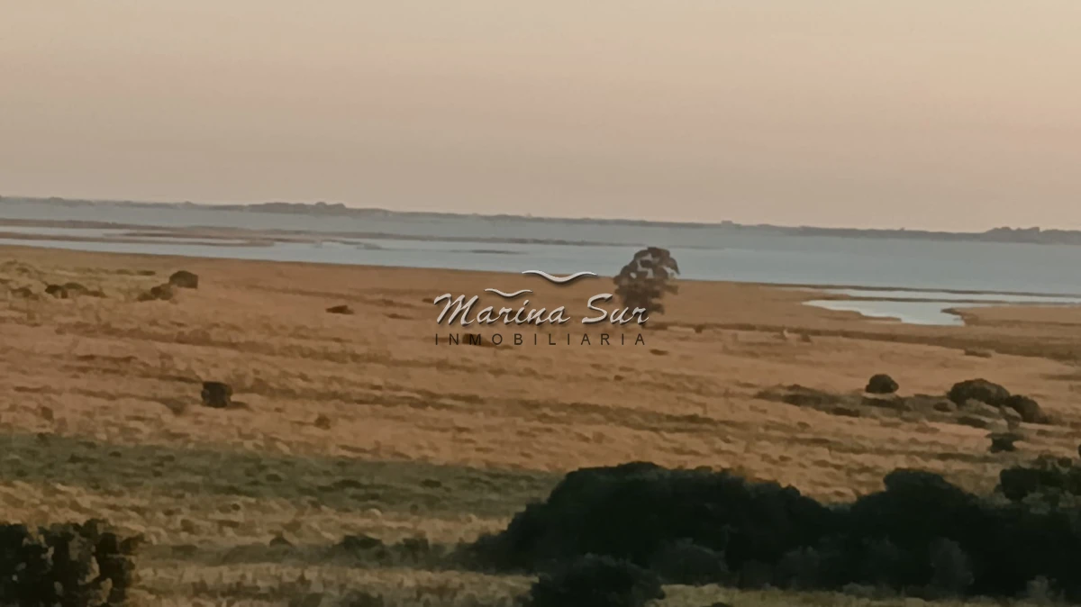 Campo Ref.296 - En venta 90 hectáreas costa Laguna Jose Ignacio