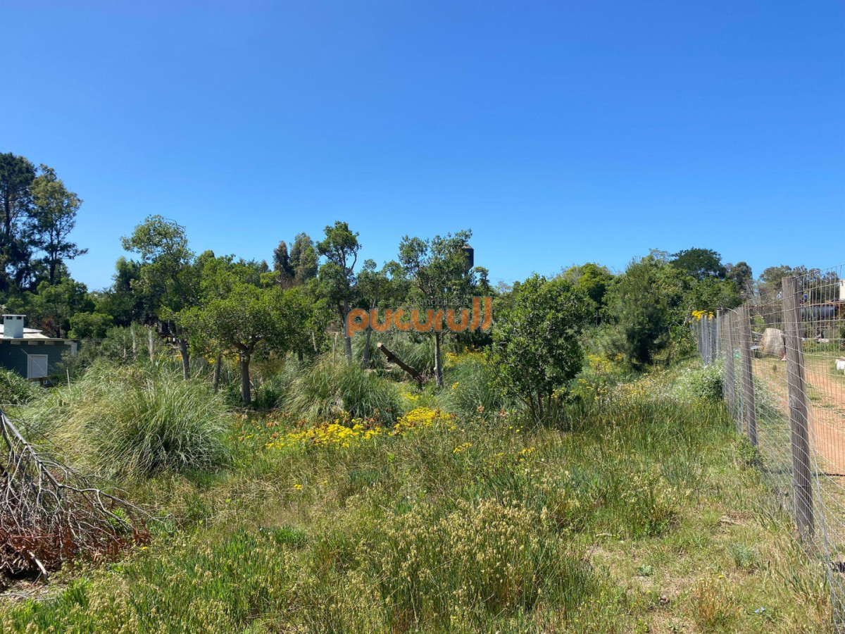 Terreno ID.2718 - Terreno en barra verde