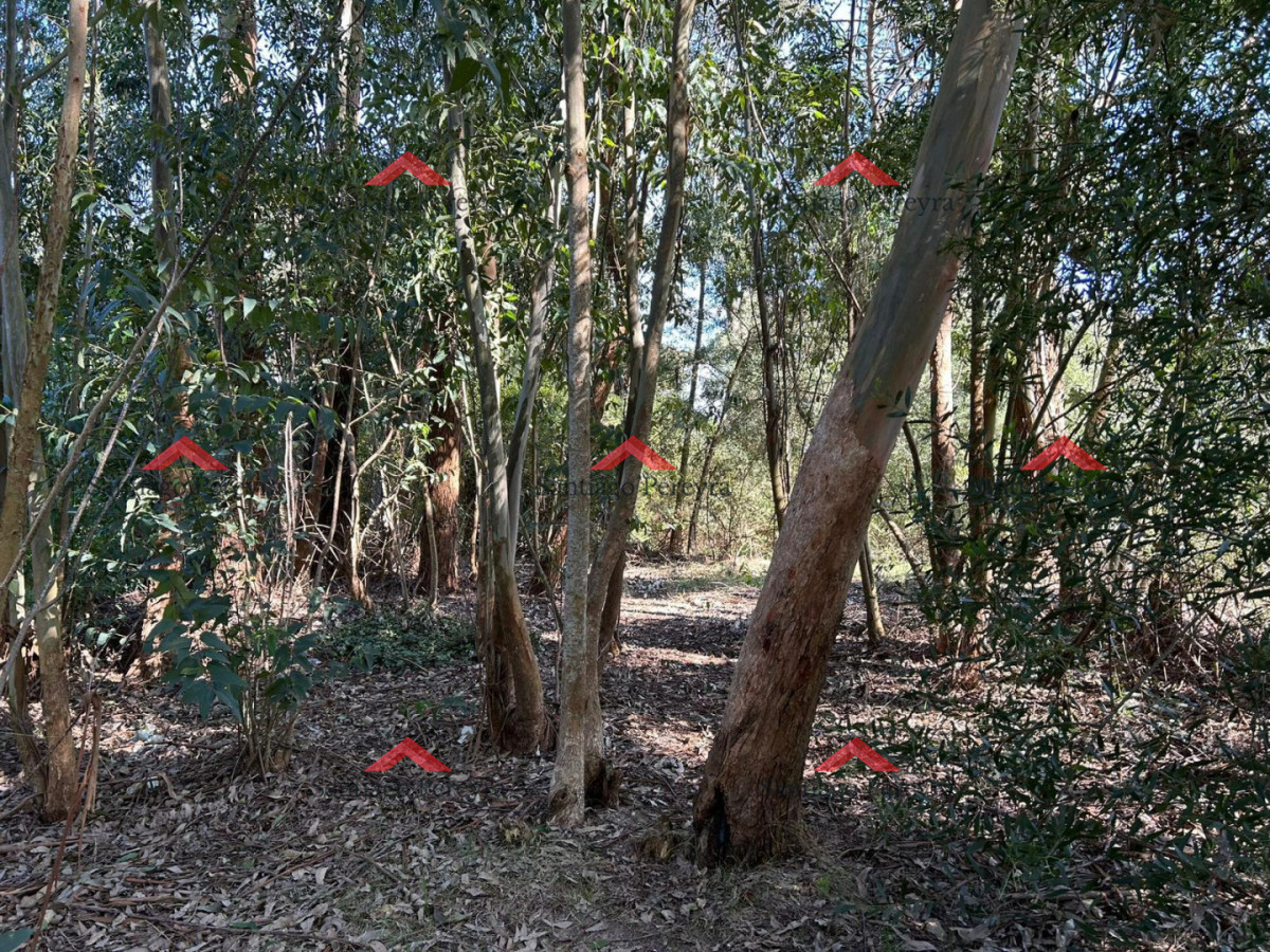 Terreno en La Juanita
