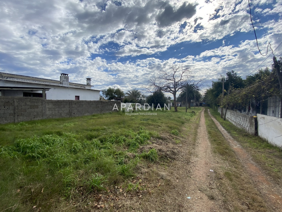 Terreno ID.21096813 - Amplio Terreno en venta Maldoanado con acceso a ruta 39