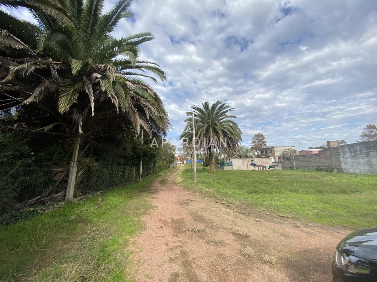 Terreno ID.21096813 - Amplio Terreno en venta Maldoanado con acceso a ruta 39