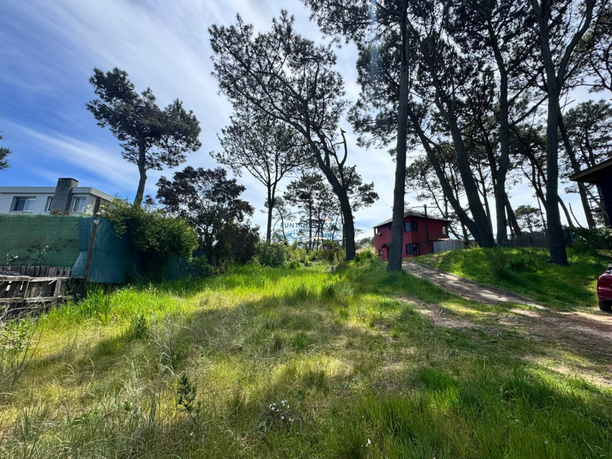 Apartamento ID.186 - Terreno en VENTA- MONTOYA