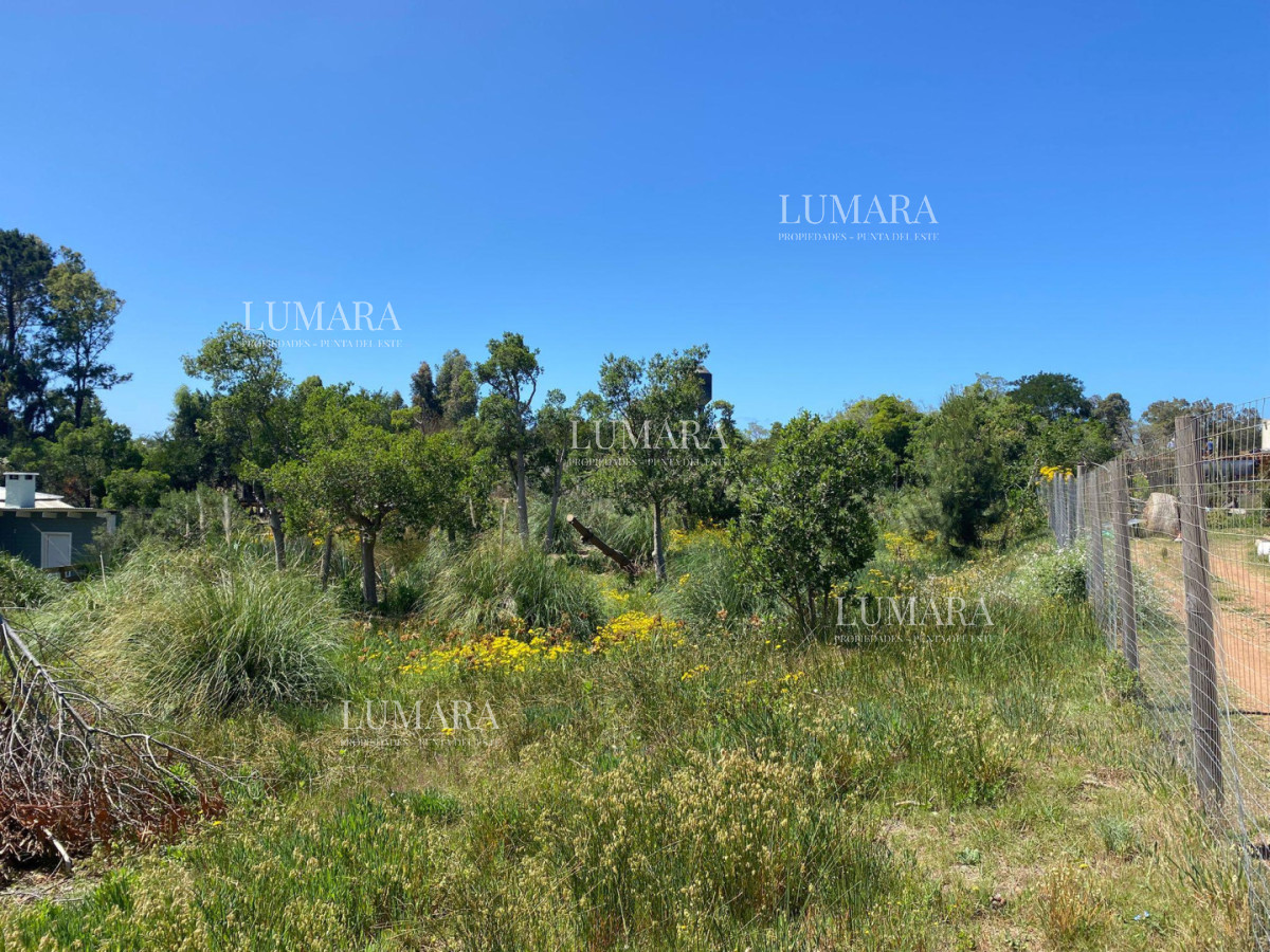Terreno ID.3269 - Terreno en barra verde