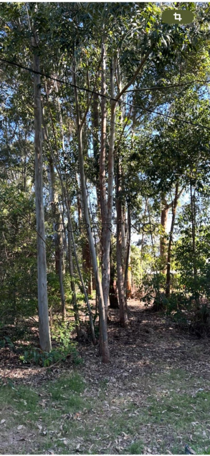 Terreno en Jose Ignacio, La Juanita — foto 4
