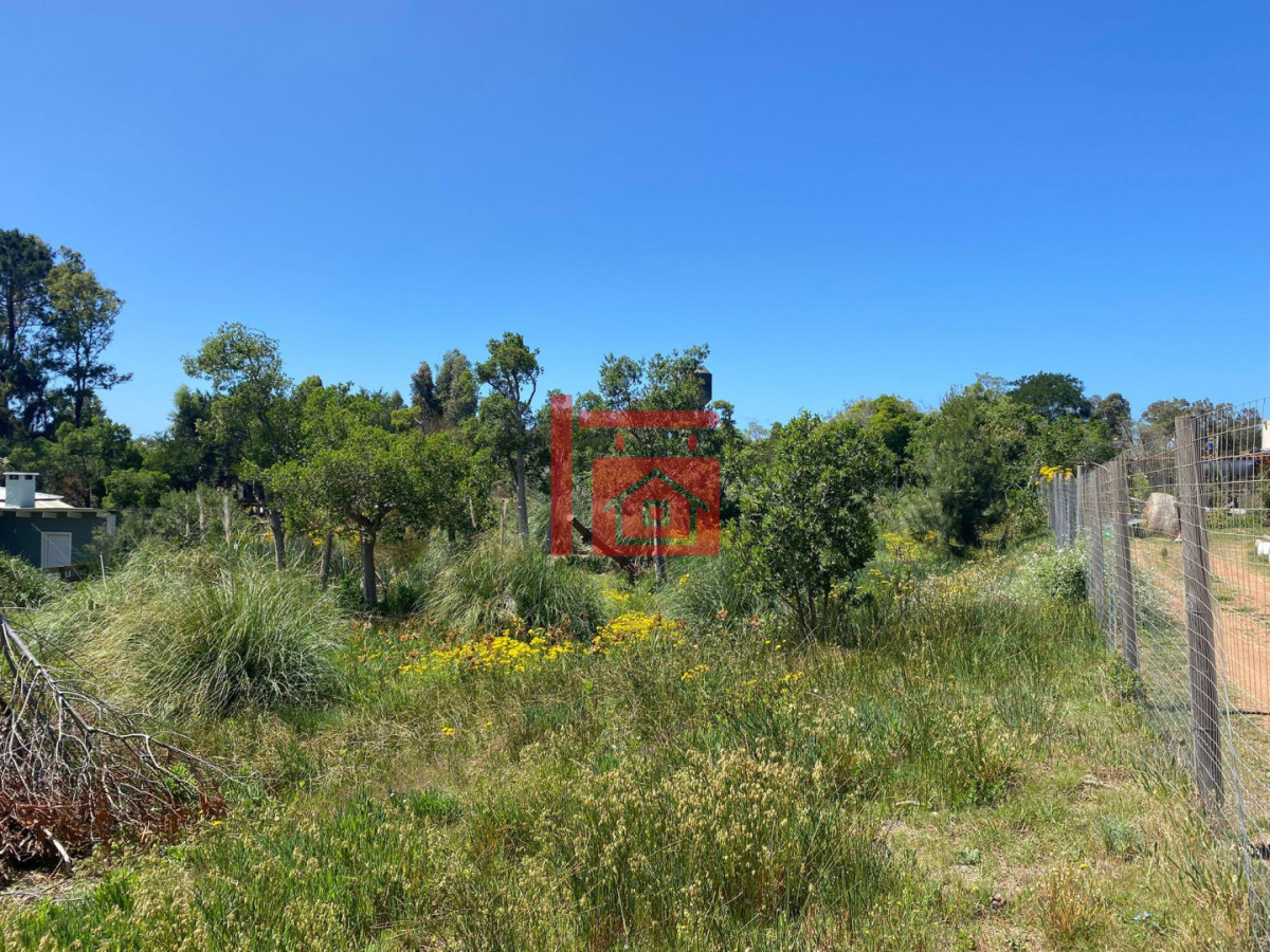 Terreno ID.554 - Terreno en barra verde