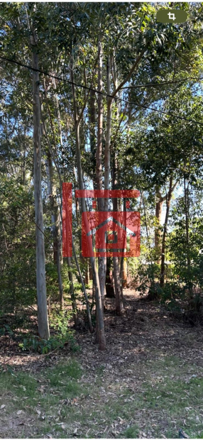 Terreno ID.558 - Terreno en la Juanita