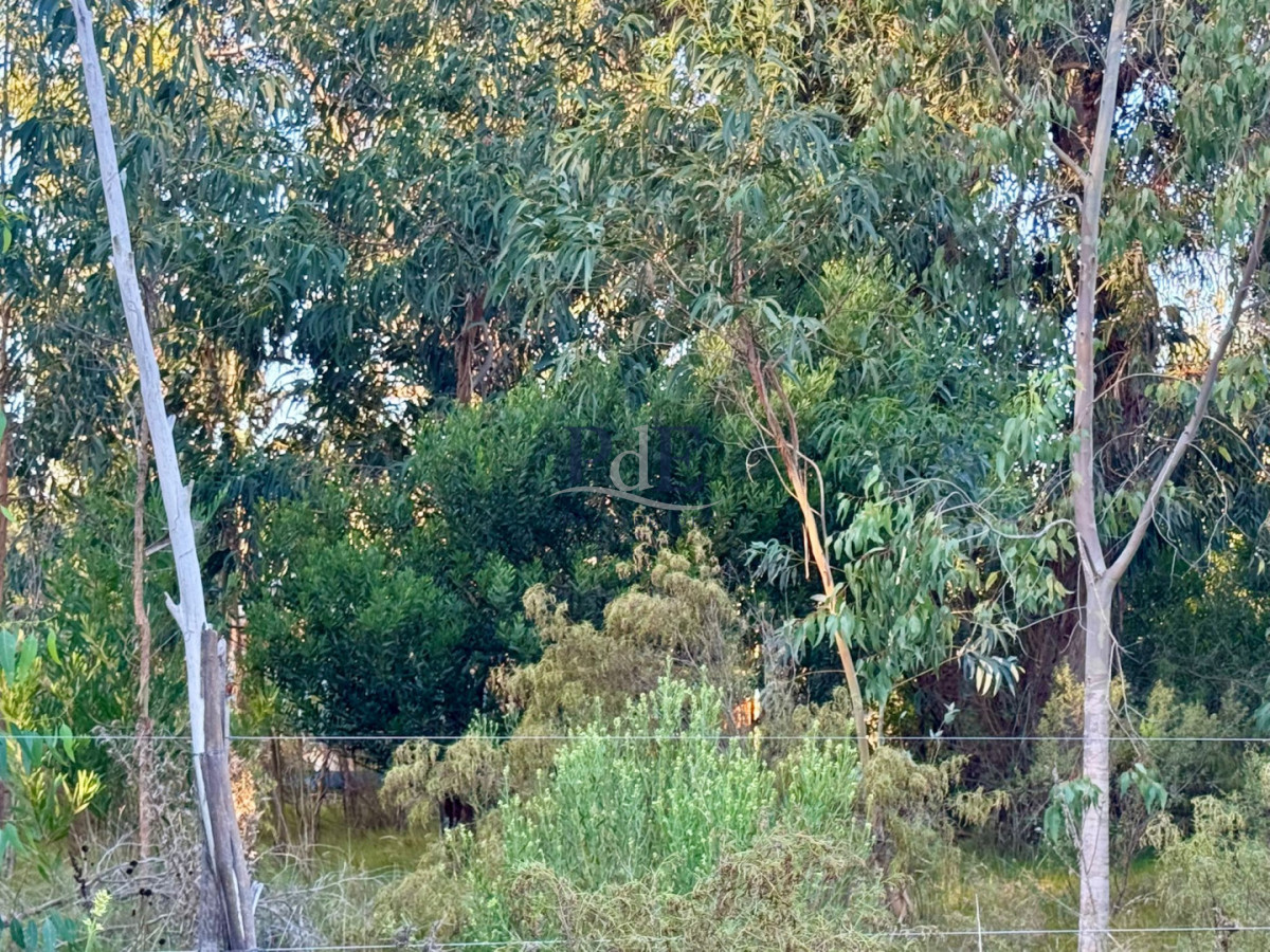 Terrenos en venta en Eden Rock Playa Brava.