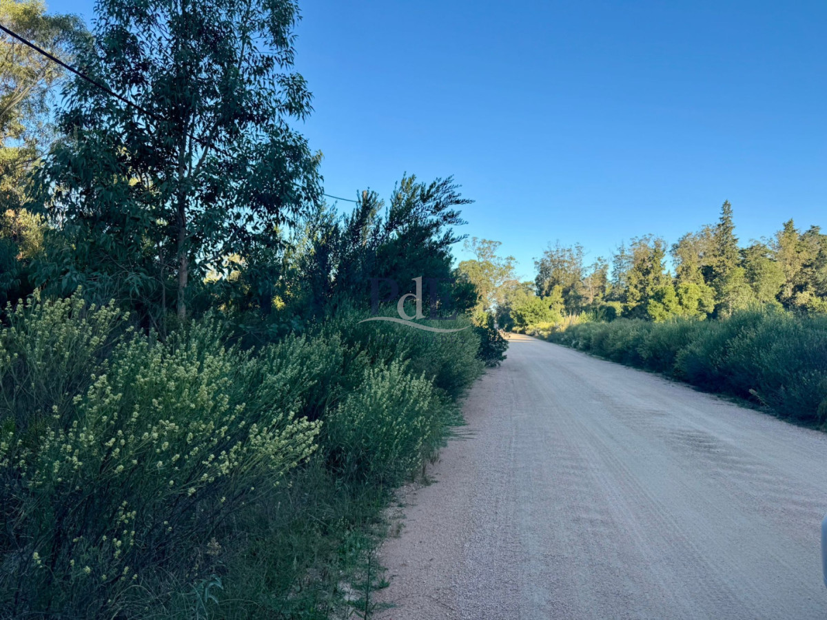 Terrenos en venta en Eden Rock Playa Brava. - Imagen 1