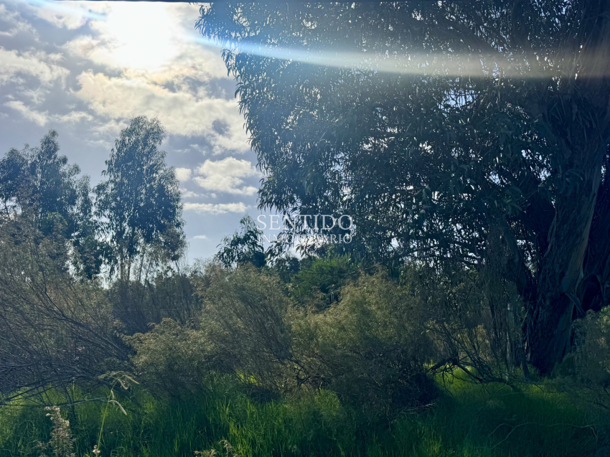 Terreno