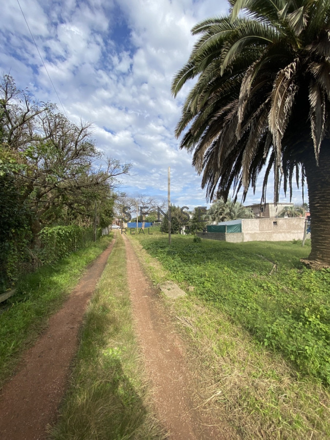 Terreno