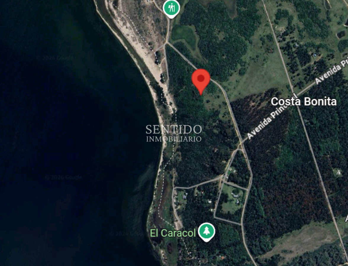 Terreno