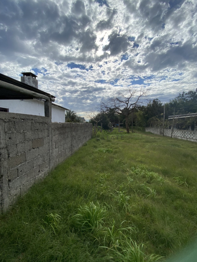Terreno