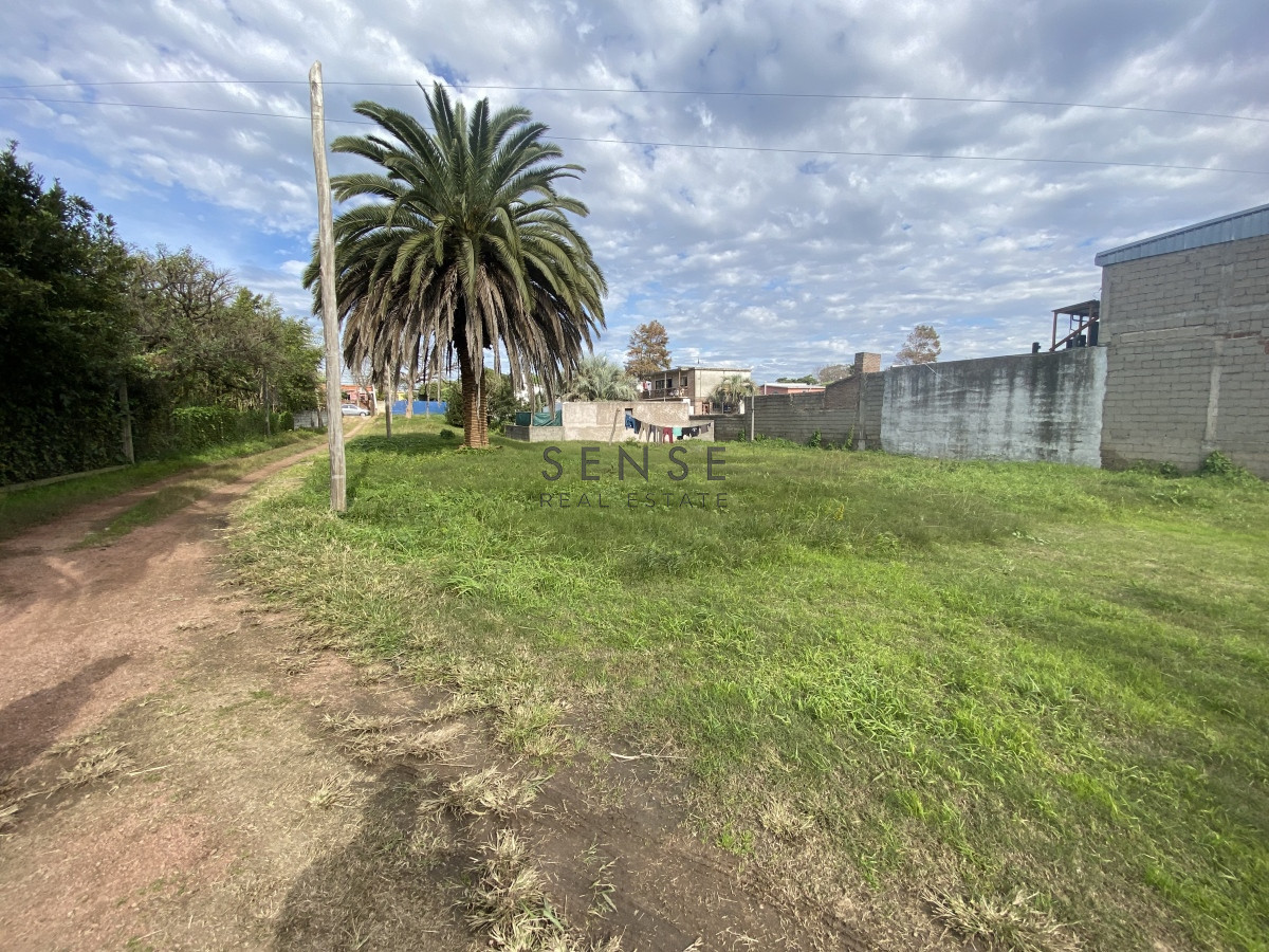 Terreno