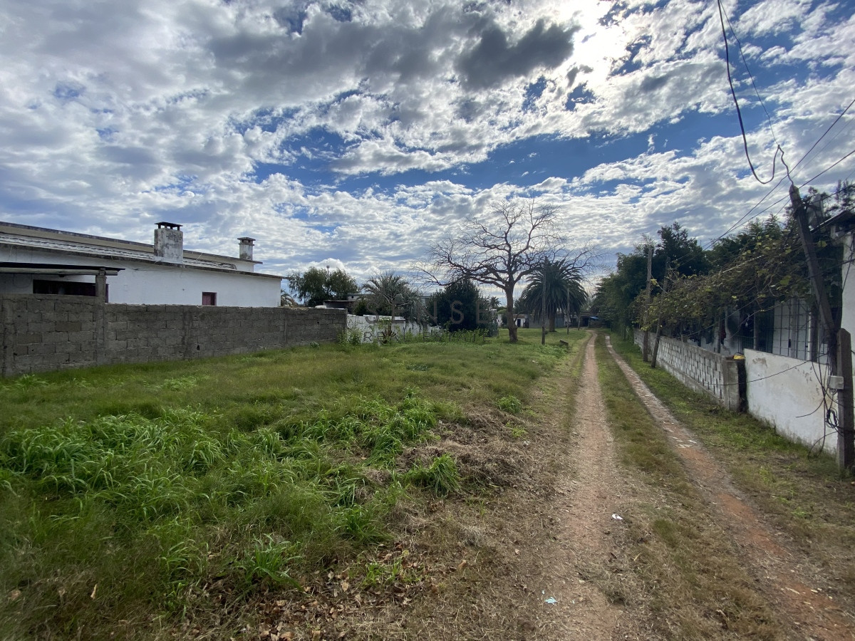 Terreno