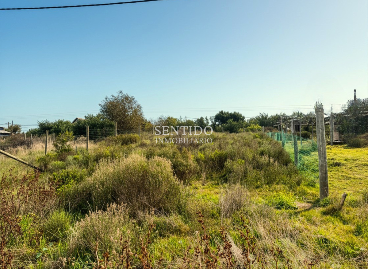 Terreno